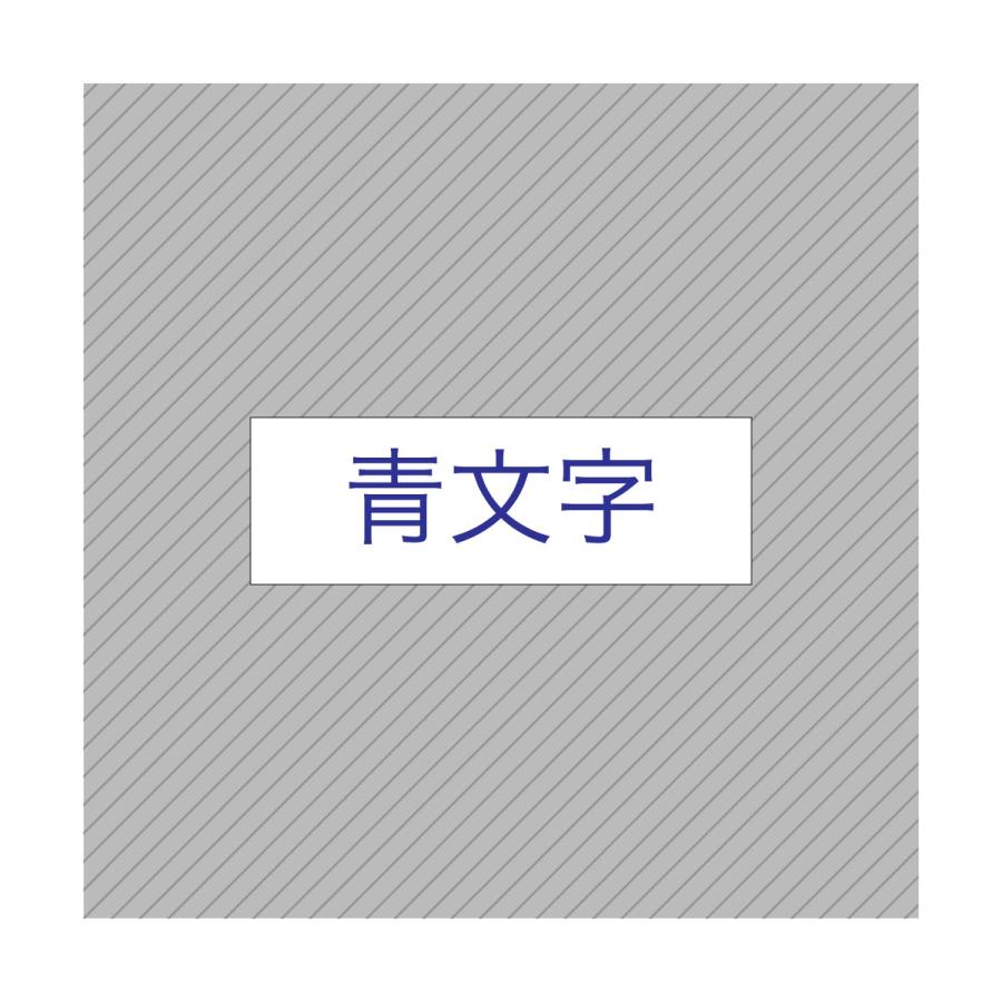 ラベルライター ネームランド ＼10/15全品P増倍+5%offCP／カシオ用