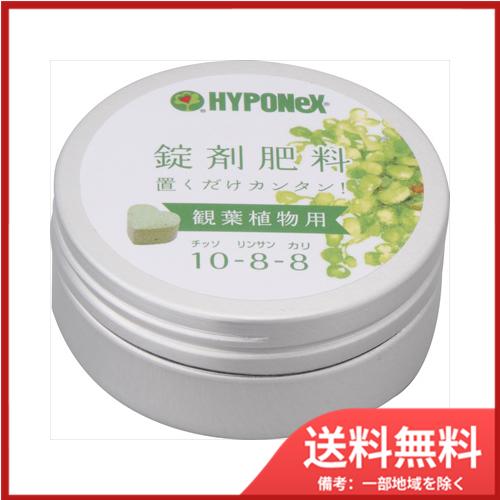 錠剤肥料　観葉植物用　送料無料｜sohshop2