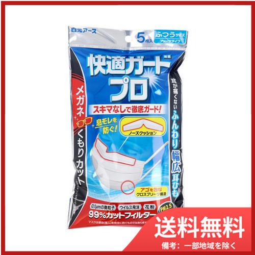 白元アース 快適ガードプロ プリーツタイプ ふつうサイズ 5枚入 送料 