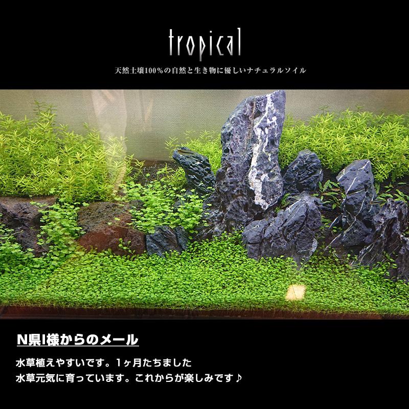 ソイル 6kg 水槽 熱帯魚 国産 ブラックソイル アクアリウム 送料無料 天然原料 水質調整底床 | アクアリウムソイル | 04