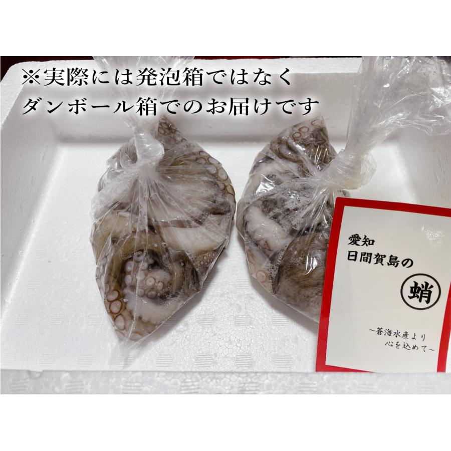 日間賀島 タコ たこ お土産 日間賀島たこ 産地直送 生タコ 丸茹で マダコ 真蛸 漁師直送 Tako0004 2 蒼海水産ヤフーショッピング店 通販 Yahoo ショッピング