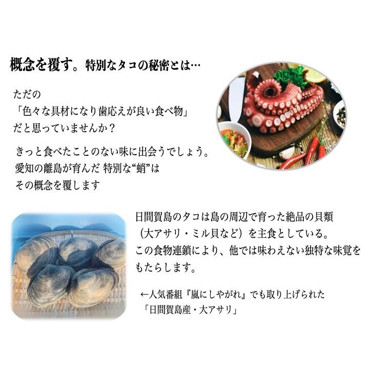 日間賀島 タコ たこ お土産 産地直送 生タコ 丸茹で ミニタコ 丸ごと1匹 Sサイズ 300 450g程度 2匹 冷凍 Tako0004 2 蒼海水産ヤフーショッピング店 通販 Yahoo ショッピング