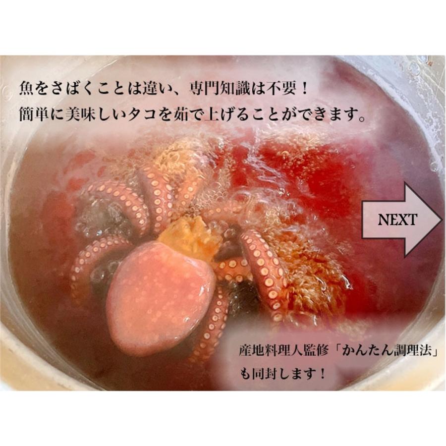 日間賀島 タコ たこ お土産 産地直送 生タコ 丸茹で 丸ごと1匹 Mサイズ 600 900g程度 冷凍 Tako0004 蒼海水産ヤフーショッピング店 通販 Yahoo ショッピング