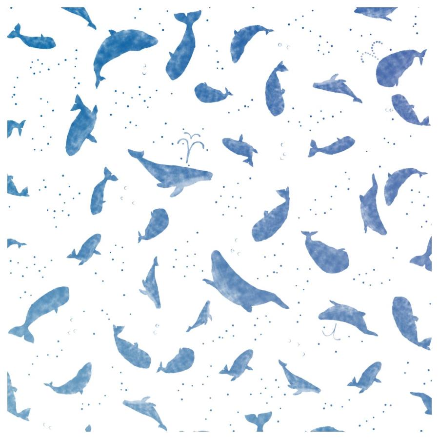 グラシン紙 バラエティシリーズ 単品 折り紙サイズ 150x150mm パンダ クラゲ 金魚 | ブランド登録なし | 14