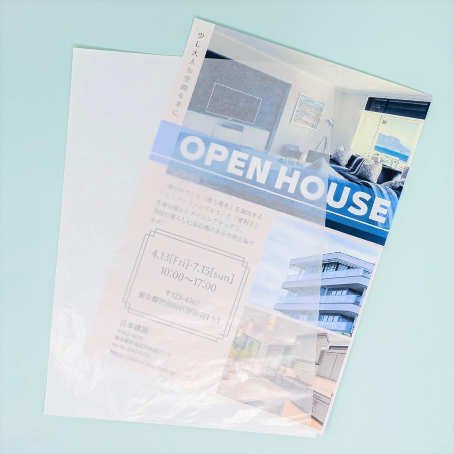 クリアファイル AA ドキュメントファイルのびーる2 インデックス付 A4 24仕切25ポケット