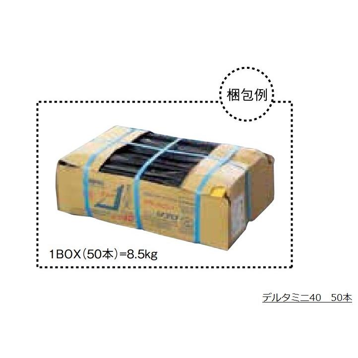 リプロ デルタミニ30 （50本入）プラスチック境界杭 赤キャップ 無地 30×30×300mm 測量/土地家屋調査/地籍調査/プラ杭/境界杭 |  | 02