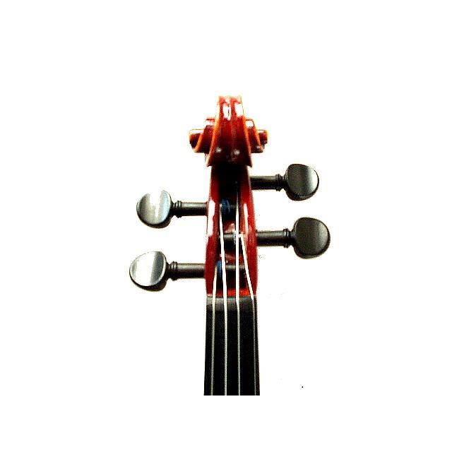鈴木バイオリン 【サンド】 アウトフィットバイオリンNo.230-1/10 (バイオリン、ケース、弓、松脂のセット品)