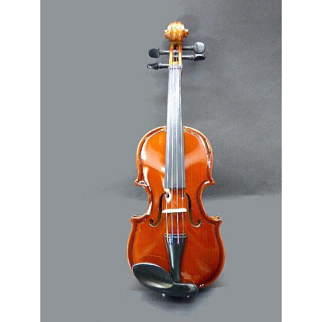 バイオリン リアル超造形ミニコレクション バイオリン リアル超造形ミニコレクション