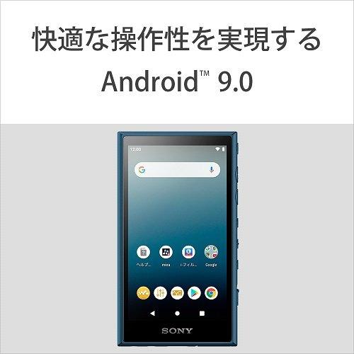 SONY ソニー デジタルオーディオプレーヤー ウォークマン NW-A105HN (L