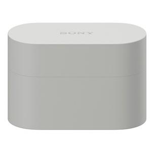 訳あり】SONY WF-1000XM6 シルバーwake[ラッピング可] : 測定の森 2号