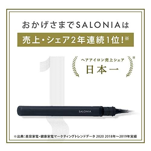 SALONIA（サロニア） スピーディーイオンドライヤー SL-013GR [GRAY