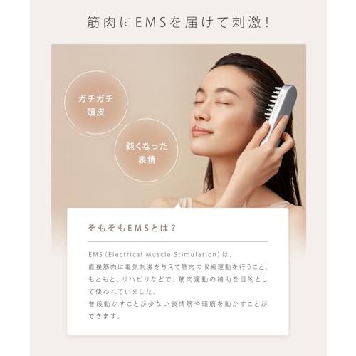 SALONIA（サロニア） EMSリフトブラシ 電気ブラシ 美顔器 SAL22206SL