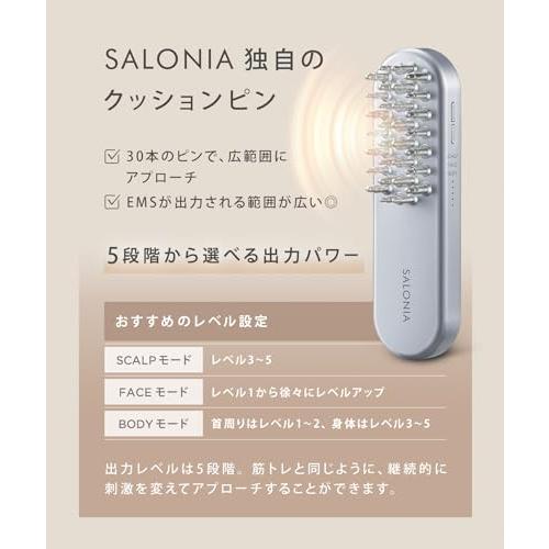 SALONIA（サロニア） EMSリフトブラシ 電気ブラシ 美顔器 SAL22206SL