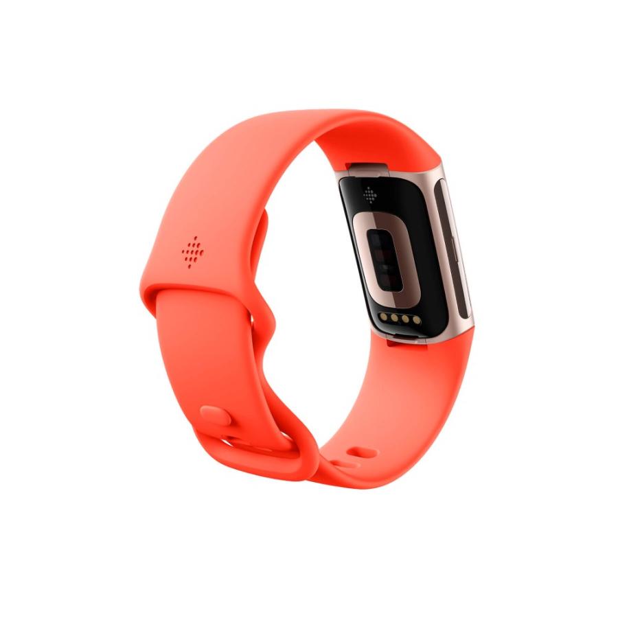 未使用品　Fitbit Charge 6 Coral Fitbit Charge 6 Fitness Tracker Watch 36mm Champagne Gold Aluminum