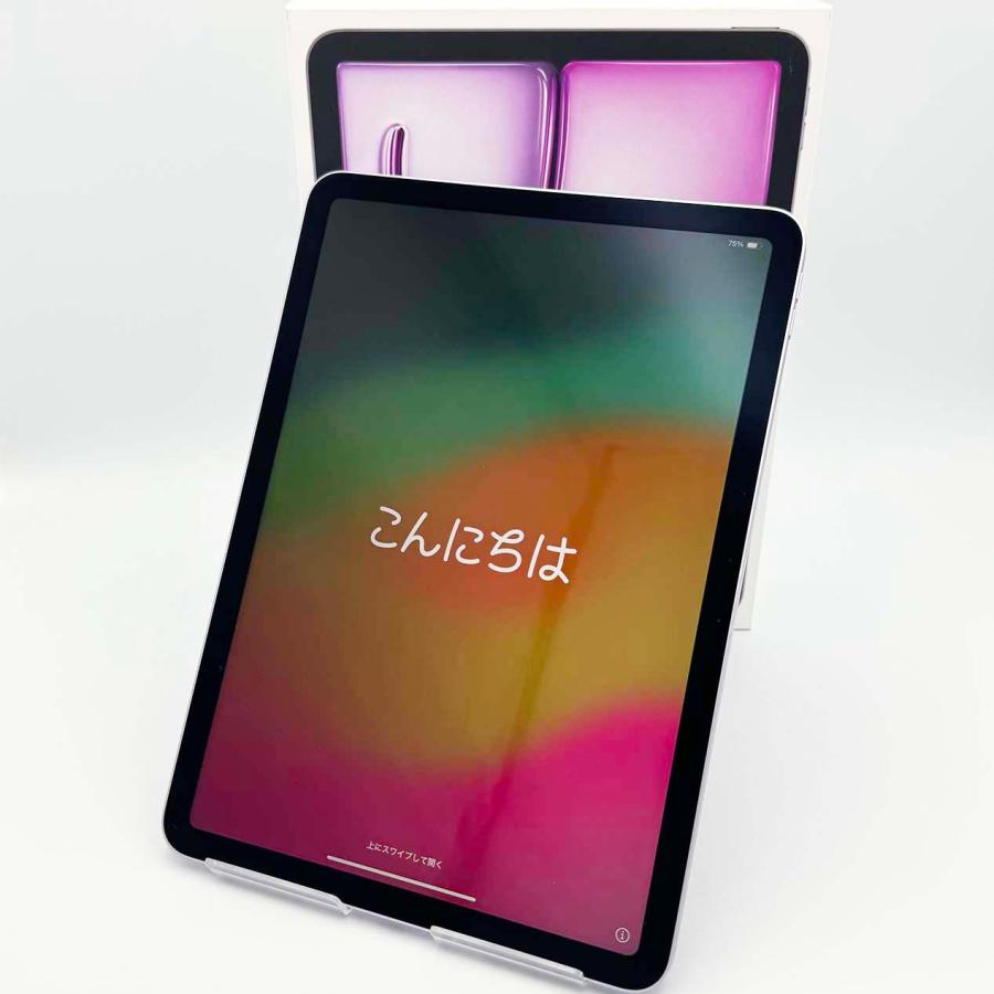 iPad Air 11インチ 第6世代 Wi-Fiモデル 128GB 本体 2024年春 iPad Air 11インチ 第6世代 Wi-Fiモデル 128GB 本体 2024年春