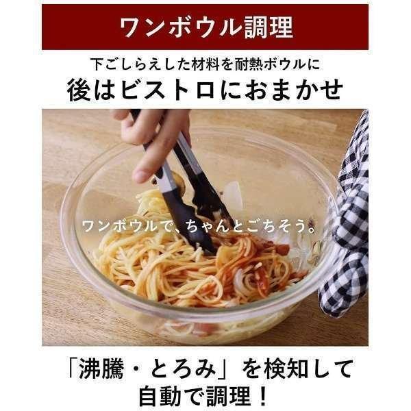 Bistro（Panasonic） Panasonic パナソニック スチームオーブンレンジ