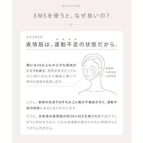 SALONIA サロニア EMSリフトブラシ 電気ブラシ 美顔器 SAL22206SL[ラッピング可] R-LOGIの画像