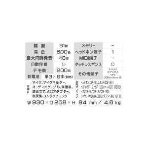 CASIO カシオ Casiotone 光ナビゲーションキーボード LK-520 61 CASIO カシオ Casiotone 光ナビゲーションキーボード LK-520 61