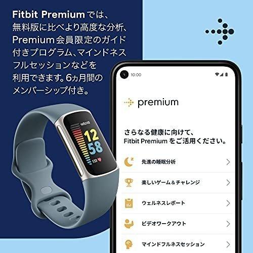 Google Fitbit フィットビット Charge5 スチールブルー/プラチナ