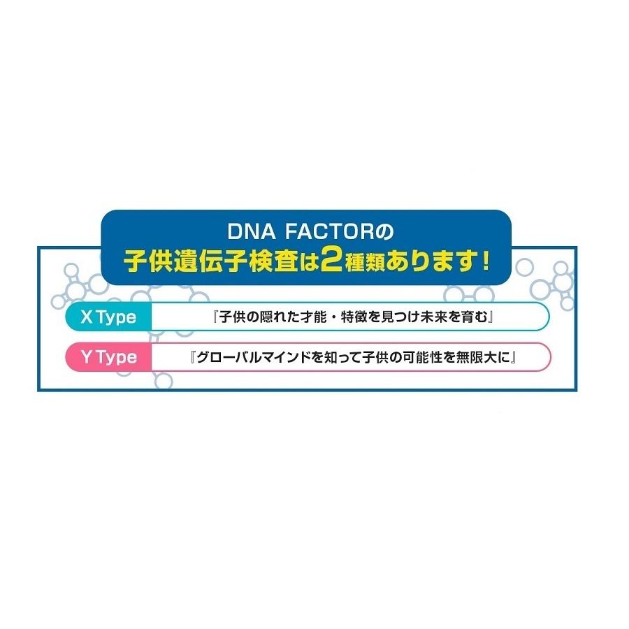 DNA FACTOR GOLD A GENE TYPE X・Y Set 子どもの能力遺伝子検査