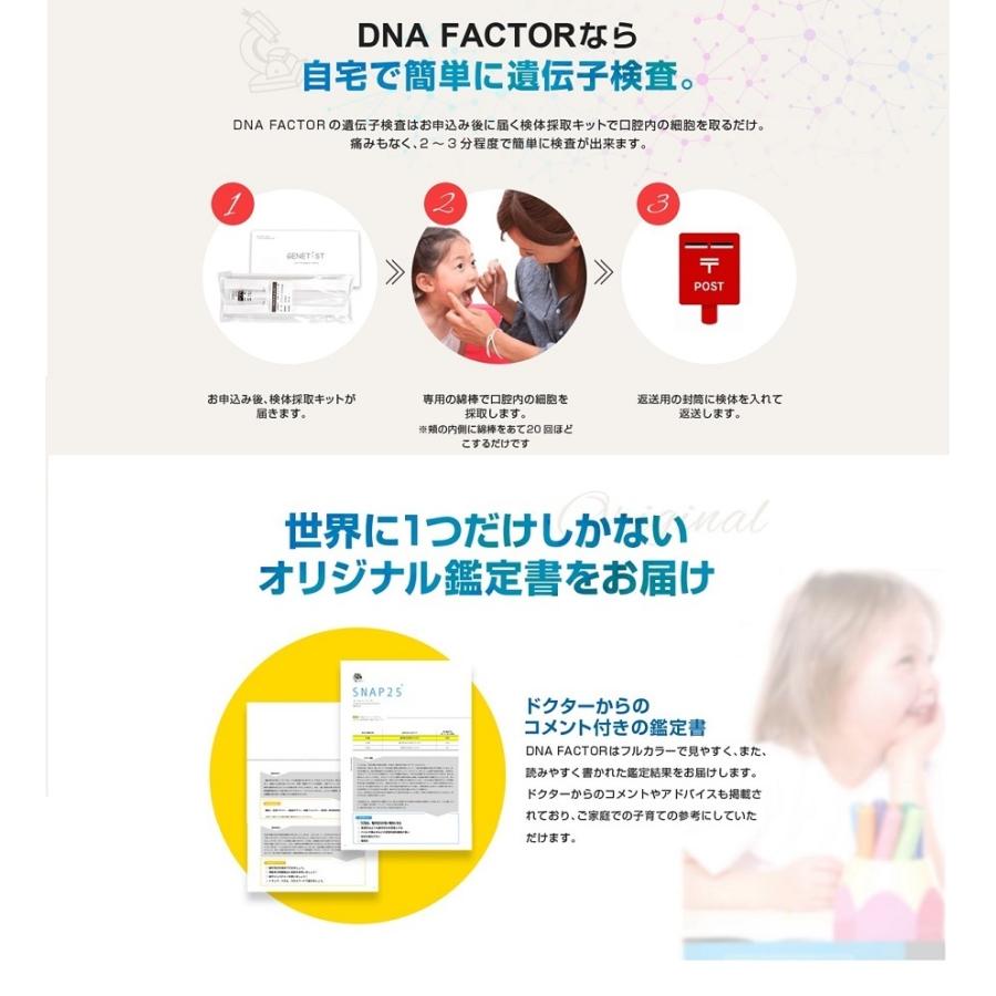 DNA FACTOR　子どもの能力遺伝子検査　GOLD A GENE TYPE Y　ゴールデンエイジタイプ　Y（ユー）　全10遺伝子｜sokuteikoubou-2｜16