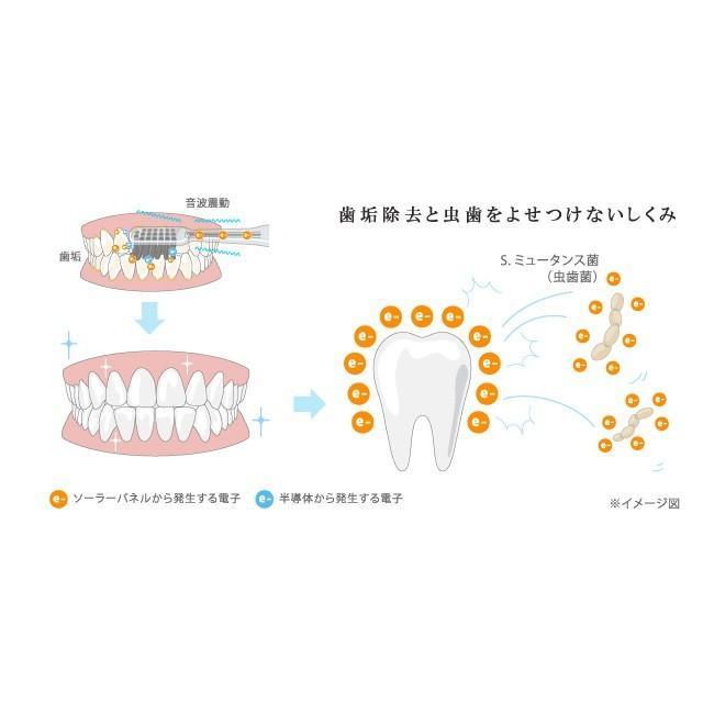 SOLADEY 新発売 電動歯ブラシ【ソラデーリズム3】音波振動歯ブラシ 高