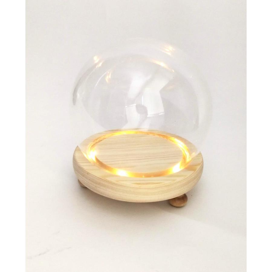 ガラスドーム 花器 LEDライト付 土台付き 球型 Ｍ 光るドーム オブジェ ...