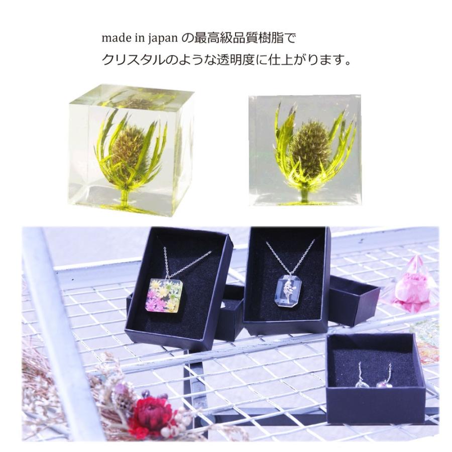 クリアリウム 2液性 レジン液 300g 超高品質 固まるハーバリウム ワークショップ ハンドメイド 手作り 材料 レジン お教室 Ep001 お花の贈り物そらーる 通販 Yahoo ショッピング