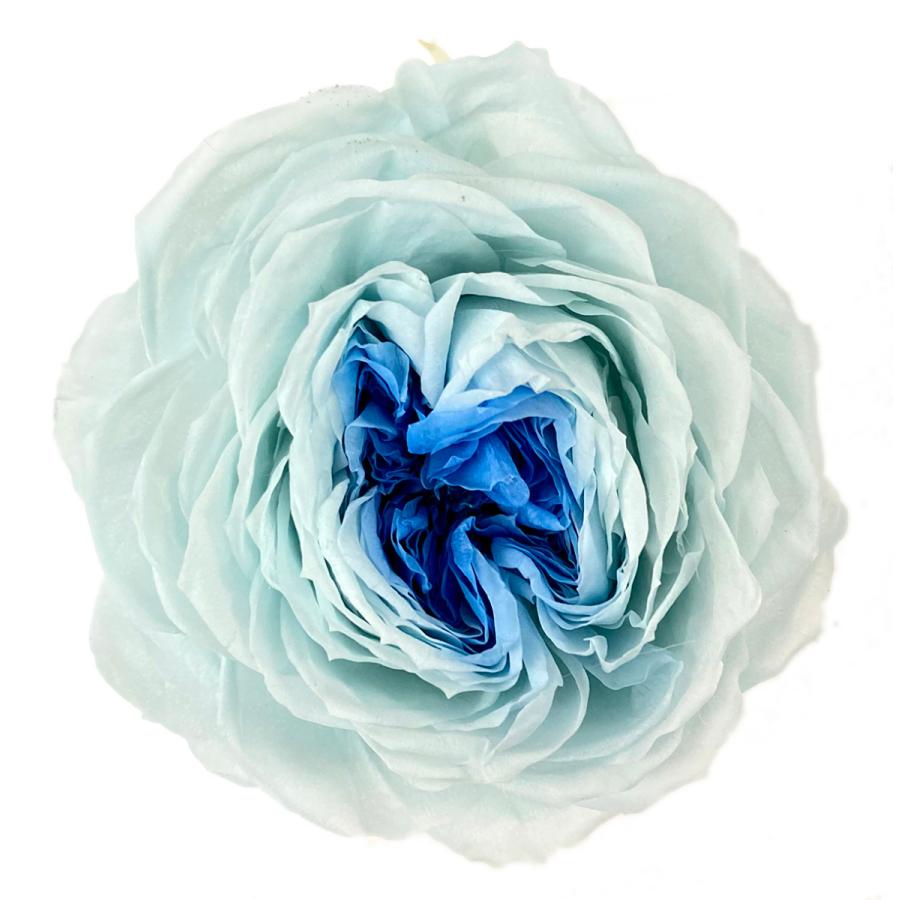 そらプリ プリザーブドフラワー 開花てまり ツートンブルー 1輪 花材 加工バラ Kaika002 お花の贈り物そらーる 通販 Yahoo ショッピング