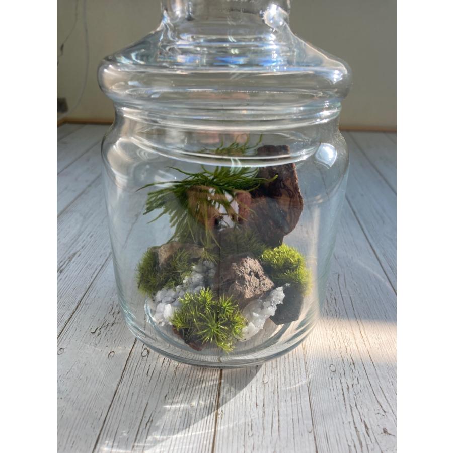 苔プリパーツ 砂利 白 約0g アクアリウム 水槽 花壇 ガーデニング 飾り 石 砂 小石 Kpp097 お花の贈り物そらーる 通販 Yahoo ショッピング