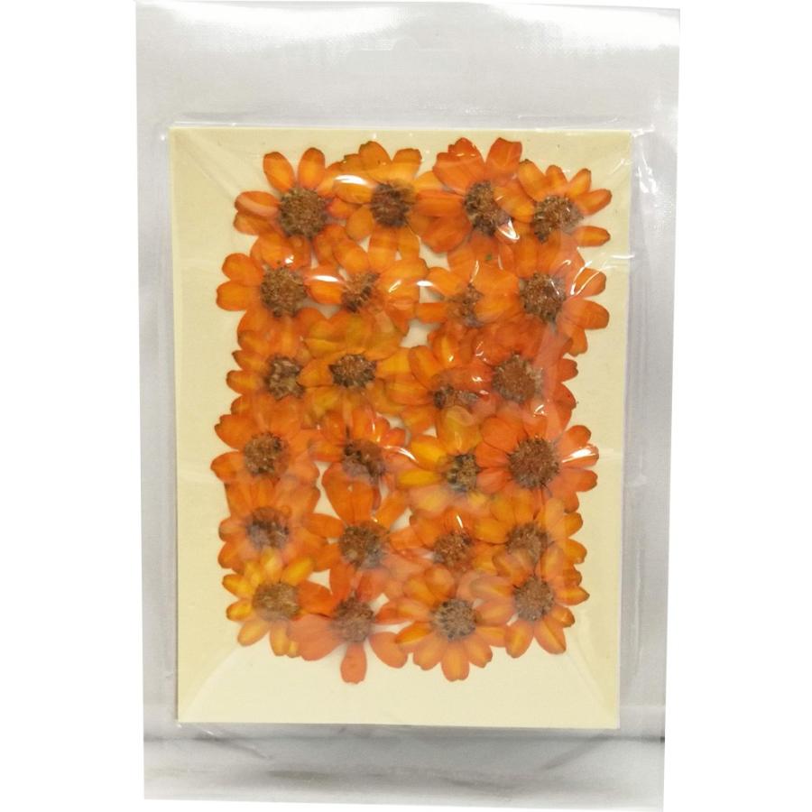 クリアリウム 押し花 百日草 オレンジ 24輪 草花 固まるハーバリウム Moo 01or お花の贈り物そらーる 通販 Yahoo ショッピング