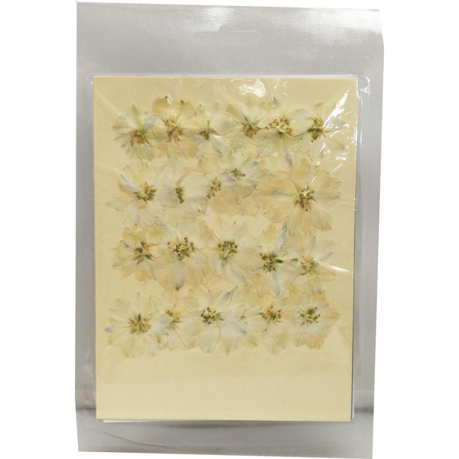 クリアリウム 花材 押し花 千鳥草 ホワイト 24輪 固まるハーバリウム Moo 03wh お花の贈り物そらーる 通販 Yahoo ショッピング