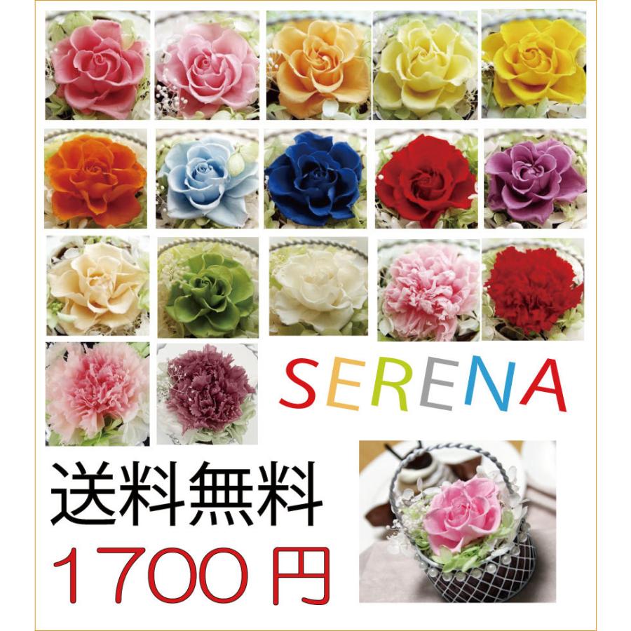 プリザーブドフラワー ギフト プレゼント セレナ 電報 結婚式 祝電 送料無料 祝い 誕生日 バラ :serena:お花の贈り物そらーる - 通販 - Yahoo!ショッピング プリザーブドフラワー ギフト プレゼント セレナ 電報 結婚式 祝電 送料無料 祝い 誕生日 バラ :serena:お花の贈り物そらーる - 通販 - Yahoo!ショッピング