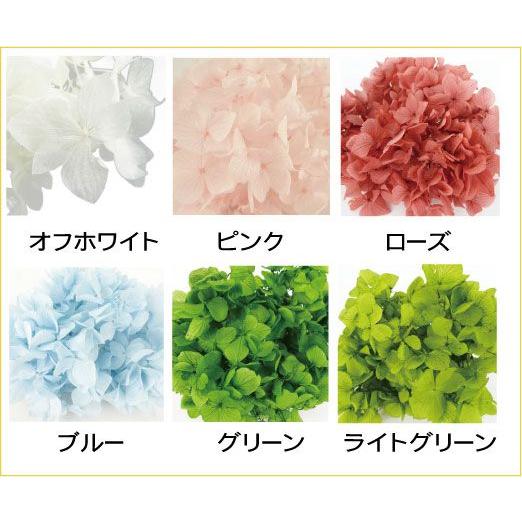 上品なスタイル ギャラクシーa ゆめあじさい 花材 プリザーブドフラワー 加工花材 フラワー ガーデン Demolition Training