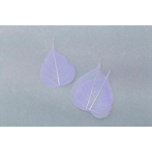 49円 驚きの値段で そらプリ ドライフラワー 花材 ピープルスケルトン ミニ 小分け ラベンダー 紫 葉 リーフ 大地農園 ハンドメイド かわいい