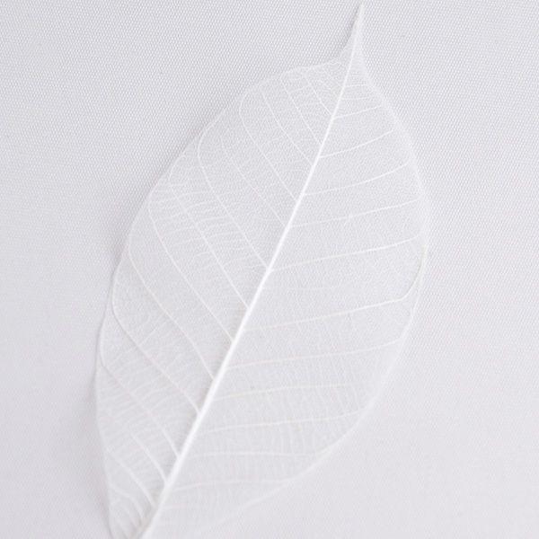 そらプリ ドライフラワー 花材 ピープルスケルトン ミニ 小分け ラベンダー 紫 葉 リーフ 大地農園 ハンドメイド かわいい Spas0214 お花の贈り物そらーる 通販 Yahoo ショッピング