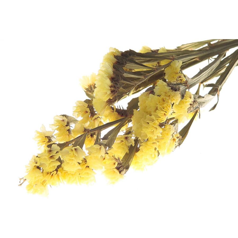 ドライフラワー 花材 スターチス イエロー 小分け そらプリ Spds0024 お花の贈り物そらーる 通販 Yahoo ショッピング