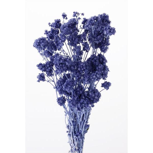99円 最大67 オフ ドライフラワー 花材 クリスパム コバルトブルー 小分け そらプリ 青 ブルー