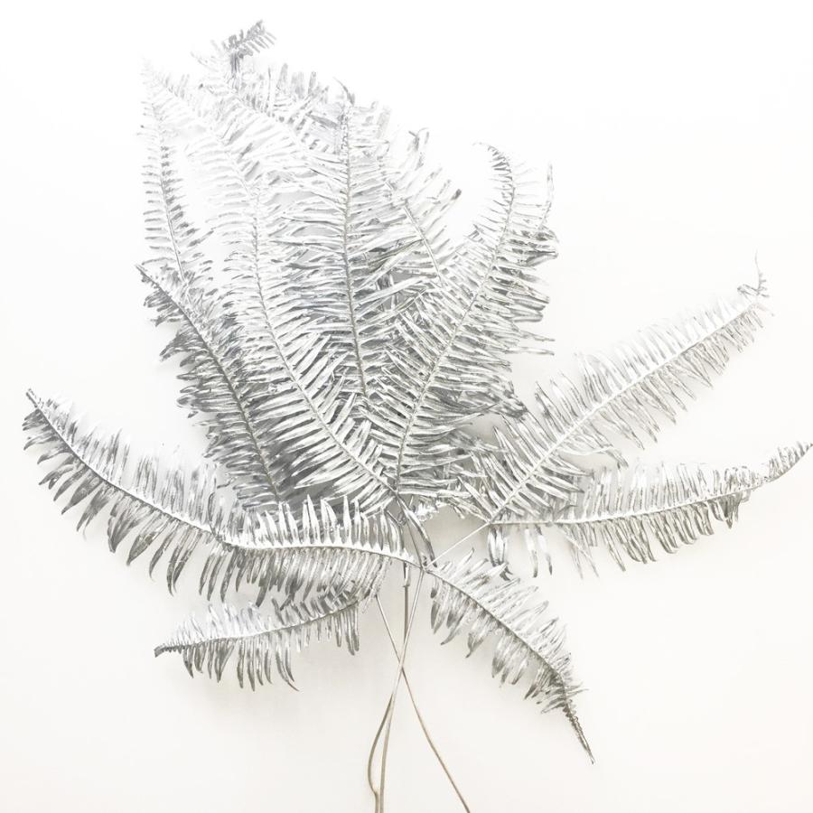 ドライフラワー 花材 山シダ シルバー 約2 3本 そらプリ Spfc0099 お花の贈り物そらーる 通販 Yahoo ショッピング