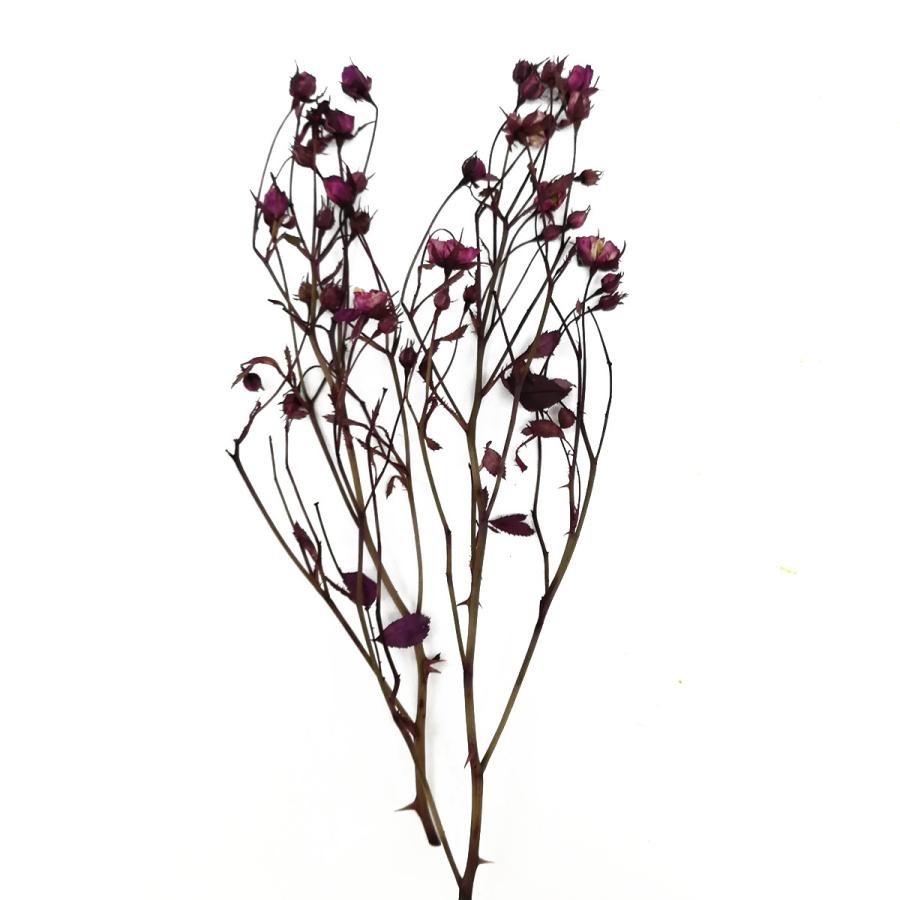 市場 メール便 そらプリ ブラウン 花材 プリザーブドモス 対応 モス