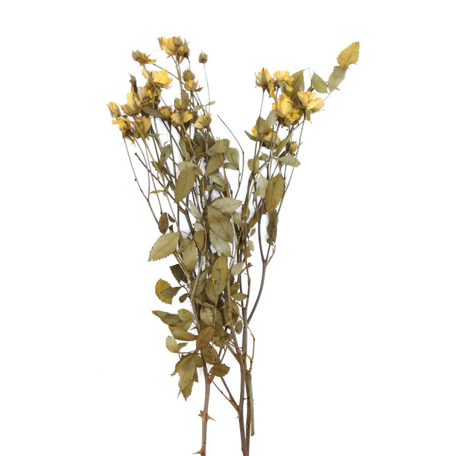 プリザーブドフラワー 卓出 花材 リトルローズ そらプリ ブリリアントイエロー 約10輪