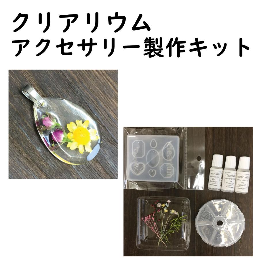 クリアリウム 固まるハーバリウム キット アクセサリー キット レジン Spkit0049 お花の贈り物そらーる 通販 Yahoo ショッピング