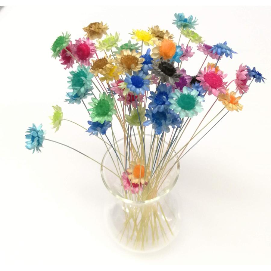 おうち時間 アルコールインク 筆ペン 6本 染色キット 花材セット 着色 簡単 Spkit0126 お花の贈り物そらーる 通販 Yahoo ショッピング