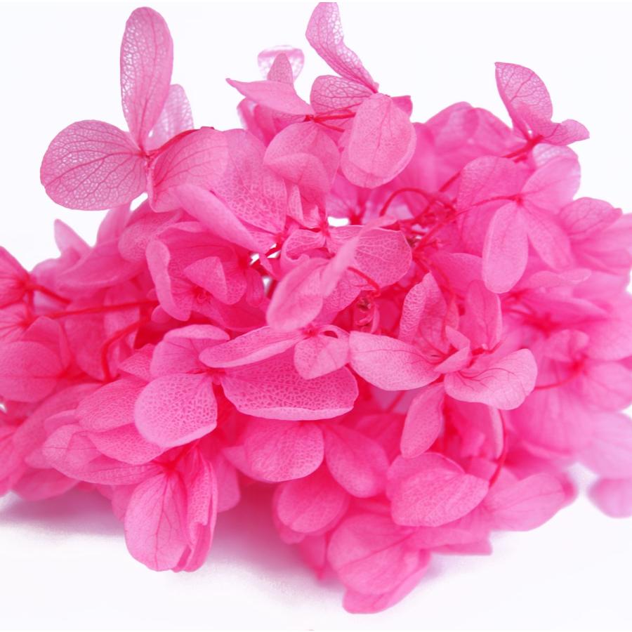 プリザーブドフラワー アジサイ 花材 フラミンゴ 小分け約4g Spp0031 お花の贈り物そらーる 通販 Yahoo ショッピング
