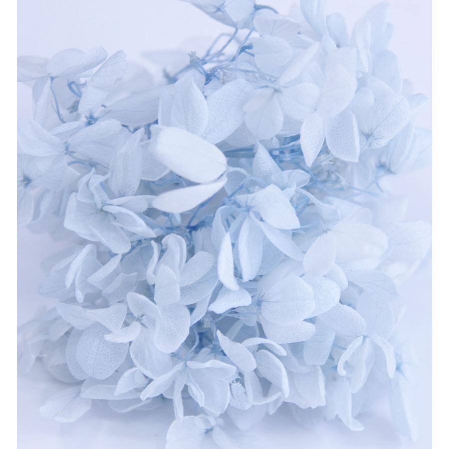 プリザーブドフラワー 花材 アジサイ アイスブルー 小分け約4g Spp0039 お花の贈り物そらーる 通販 Yahoo ショッピング