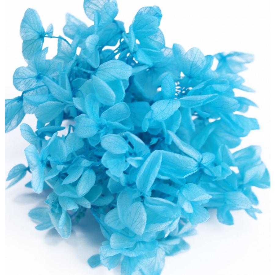 プリザーブドフラワー アジサイ 花材 スカイブルー 小分け約4g Spp0041 お花の贈り物そらーる 通販 Yahoo ショッピング