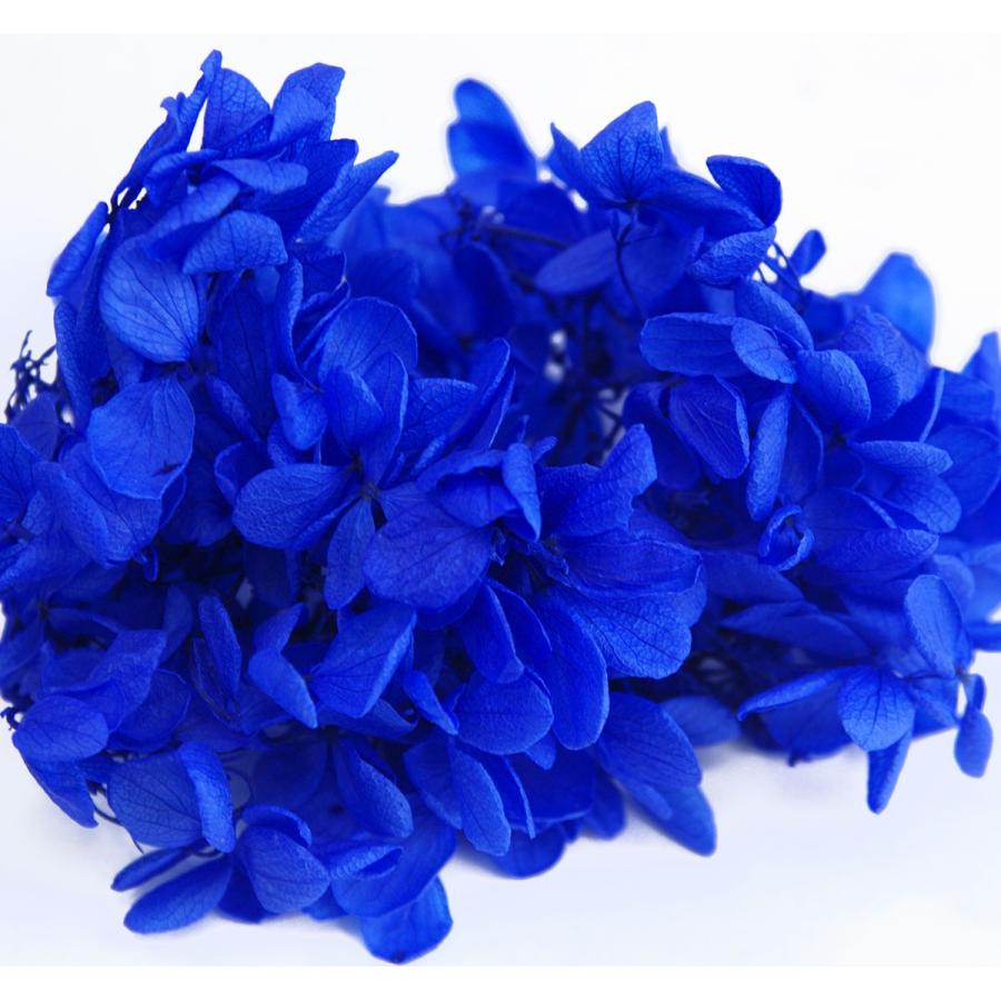 プリザーブドフラワー 花材 アジサイ ロイヤルブルー 小分け約4g Spp0042 お花の贈り物そらーる 通販 Yahoo ショッピング