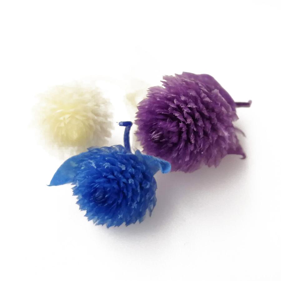 お花の贈り物そらーるそらプリ 花材 千日紅アソート ブルーミックス 3輪 小分け 青 ブルー ホワイト ライラック 最大70 Offクーポン