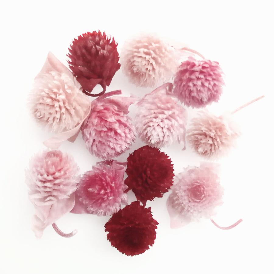 そらプリ 花材 千日紅アソート ピンクミックス 12輪 小分け 大地農園 Spps0144 お花の贈り物そらーる 通販 Yahoo ショッピング