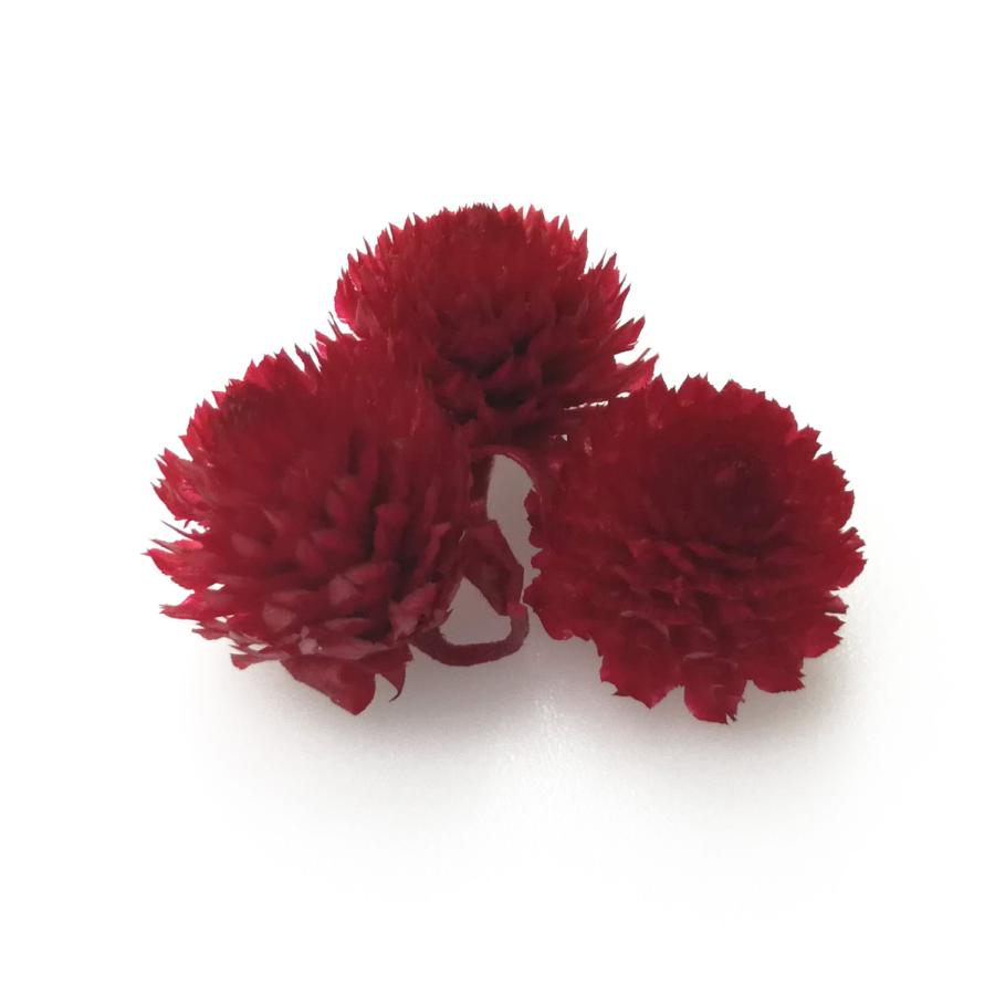 そらプリ 花材 千日紅 プリザーブド ヘッド レッド 3輪 小分け 赤 大地農園 Sonicacts